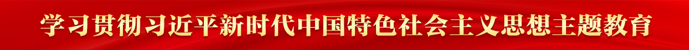 学习贯彻习近平新时代中国特色社会主义思想主题教育