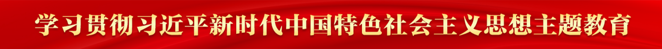 学习贯彻习近平新时代中国特色社会主义思想主题教育