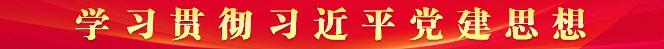 学习贯彻习近平党建思想